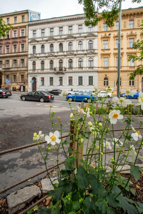 Open Gate Apartment Prague Luaran gambar